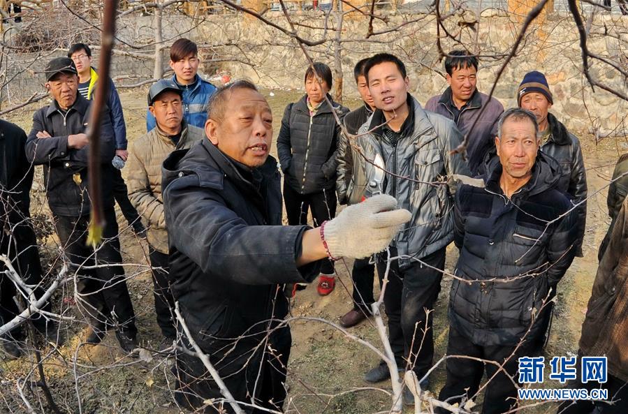 （新華全媒頭條·圖文互動）（8）鍛造領航復興的中流砥柱——寫在“不忘初心、牢記使命”主題教育即將啟動之際
