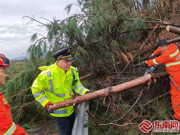 泰寧中隊(duì)執(zhí)法員聯(lián)合養(yǎng)護(hù)部門清理倒伏樹(shù)木.jpg 泰寧中隊(duì)執(zhí)法員聯(lián)合養(yǎng)護(hù)部門清理倒伏樹(shù)木.jpg