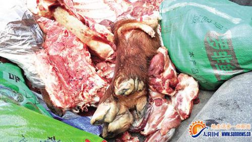 種豬肉充當(dāng)野豬肉高價出售　50元一斤身價翻五倍