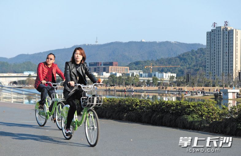 梅溪湖畔，市民們騎著共享單車賞景。長沙晚報記者 鄒麟 攝
